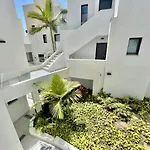 Royal Palm 12