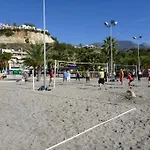 Carabeo 19