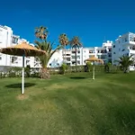 Palmeras 9 Menyber