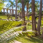 Las Palmas 15C Oasis Properties