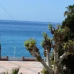 Delfin Nerja