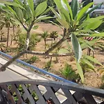 Verano Azul 36