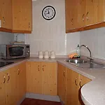 Palmeras 9 Menyber