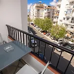 Palmeras 80 Menyber