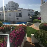 Pinos 20 Menyber