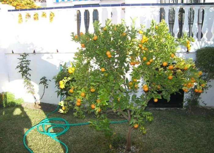 Capistrano1