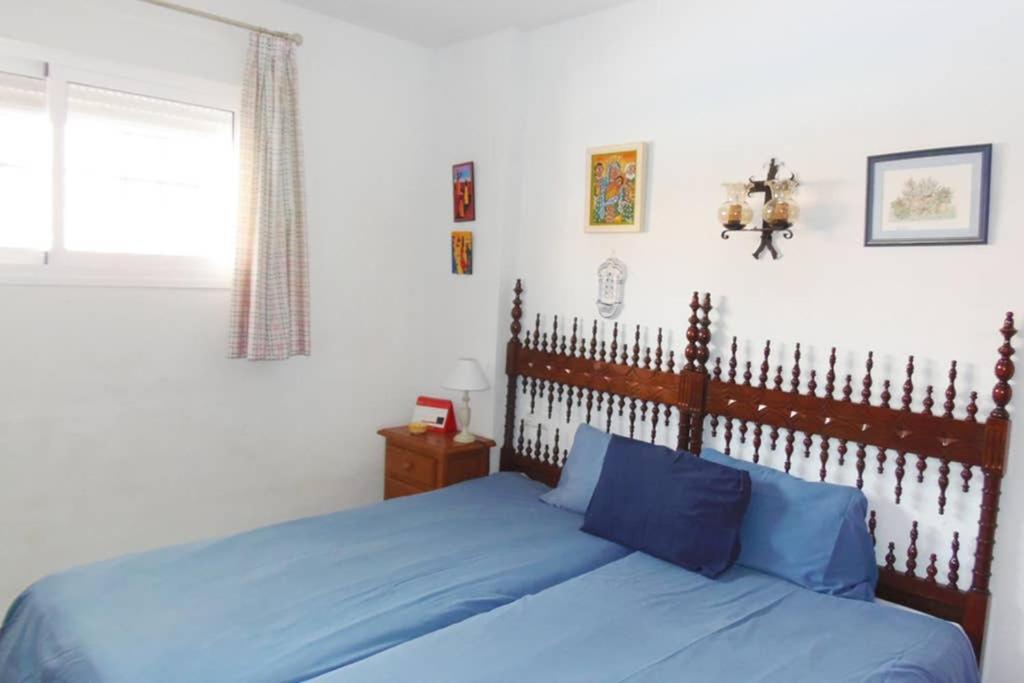 Arce Nsf24- Torrecilla,