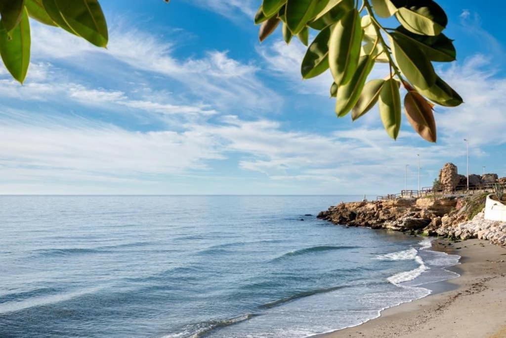 Arce Nsf24- Torrecilla, Apartamento *
