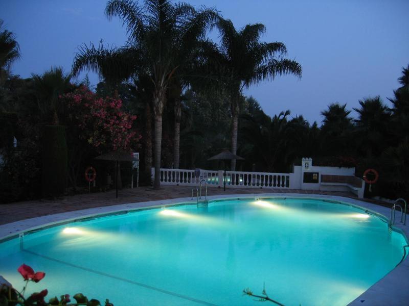 1 Bed Traditional Holiday Oasis Capistrano Spain
