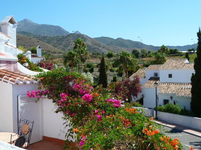 1 Bed Traditional Holiday Oasis Capistrano Spain * Nerja