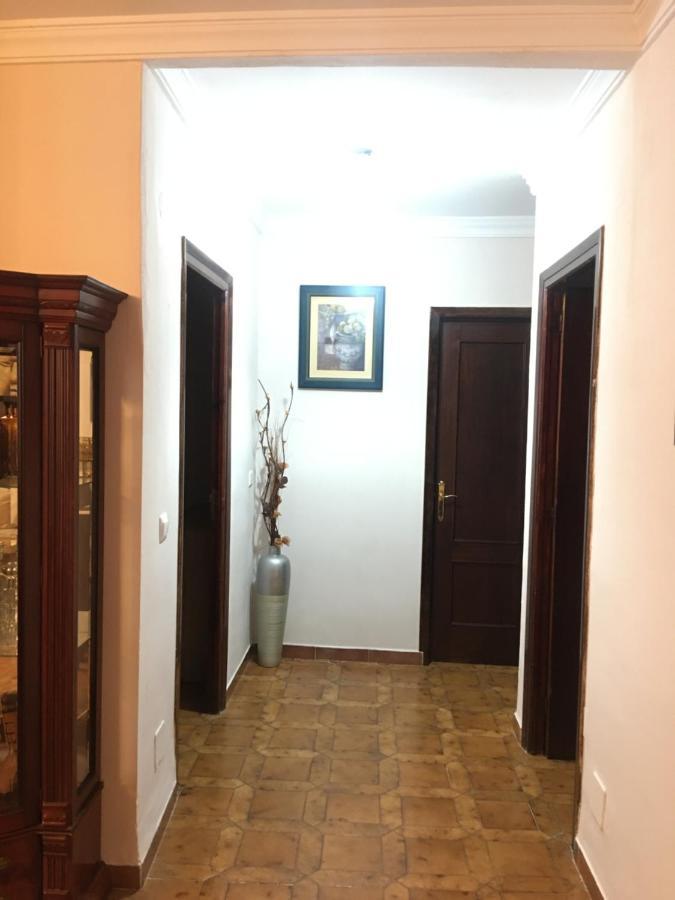Carabeo 51 *