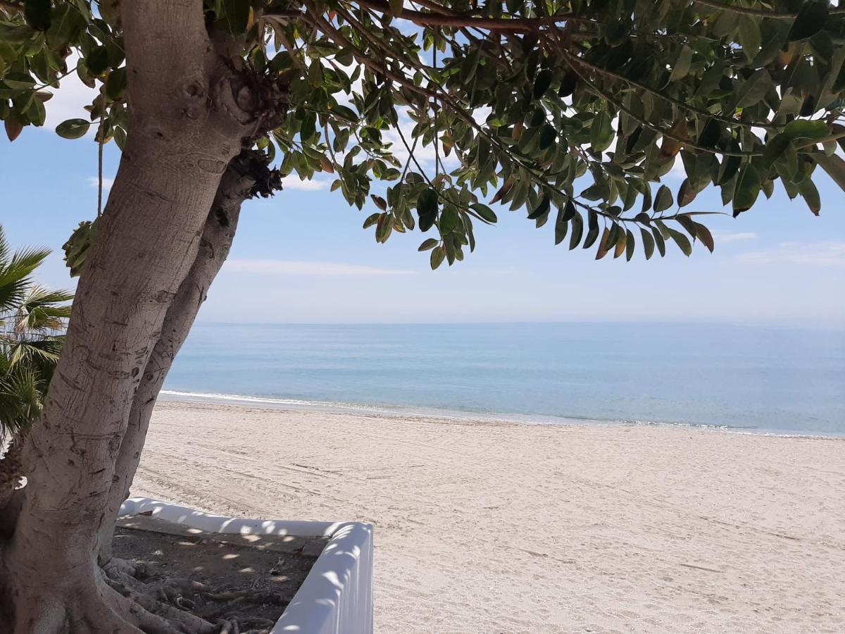 Playa Torecilla Beachfront