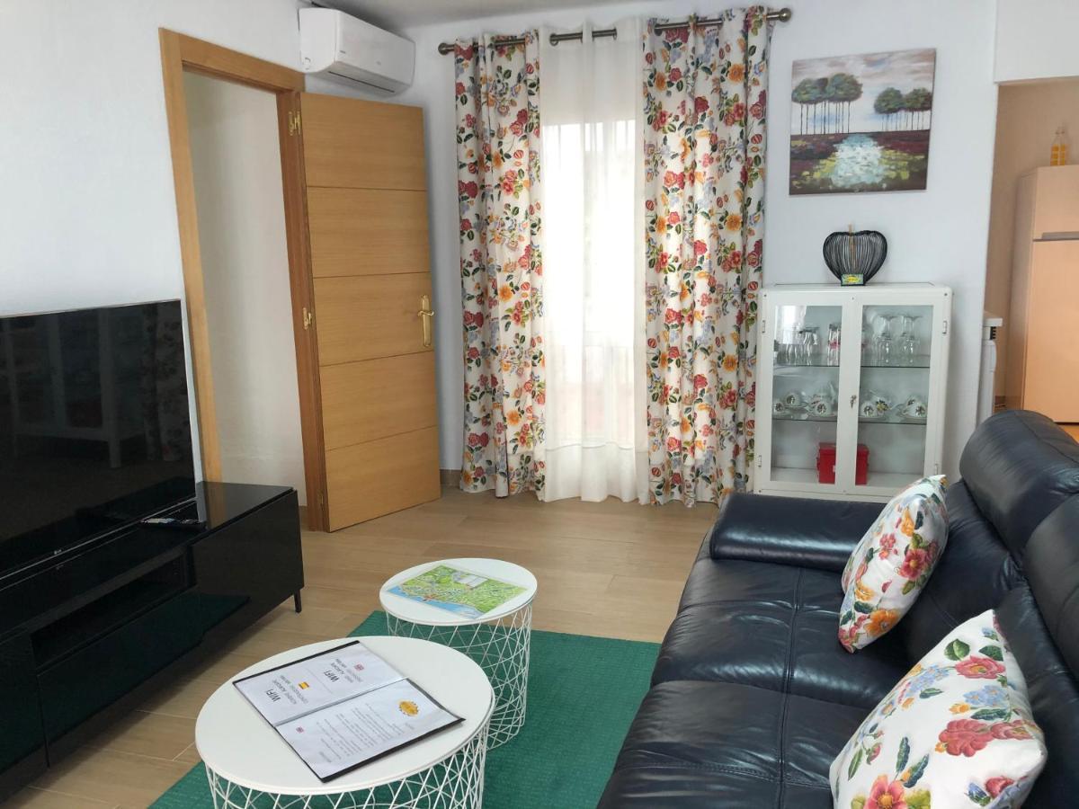 Apartment Albi *