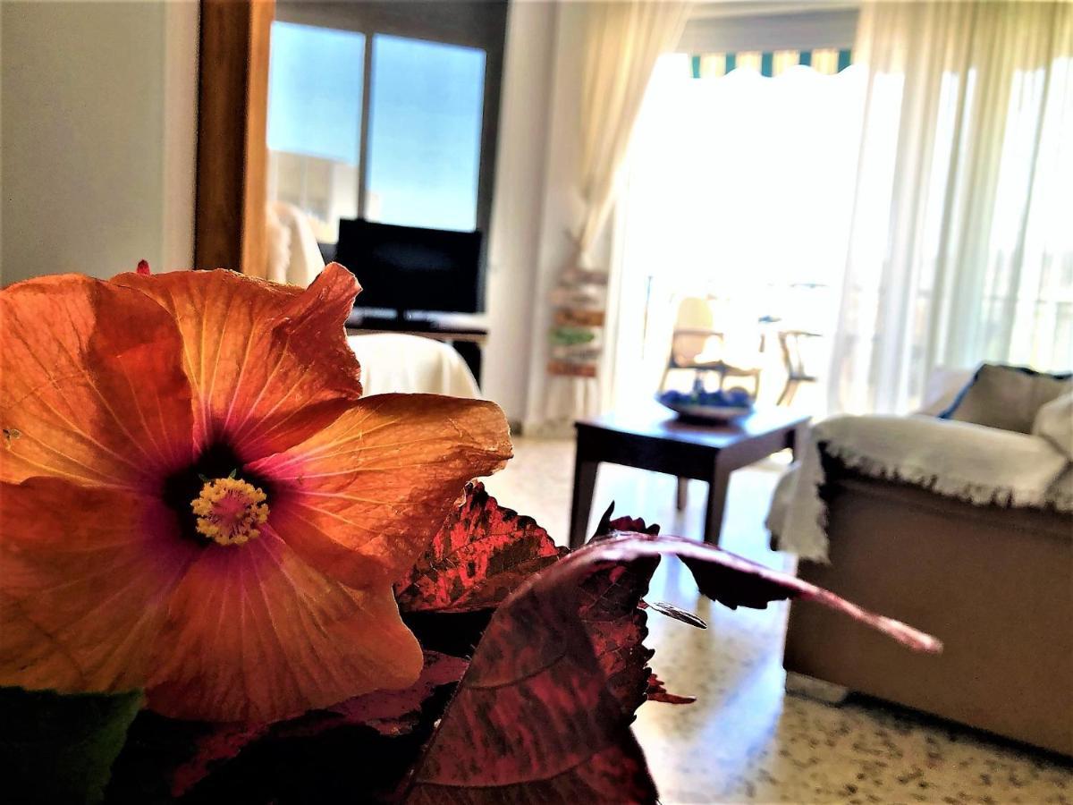 Apartment Salute To The Sea Nerja