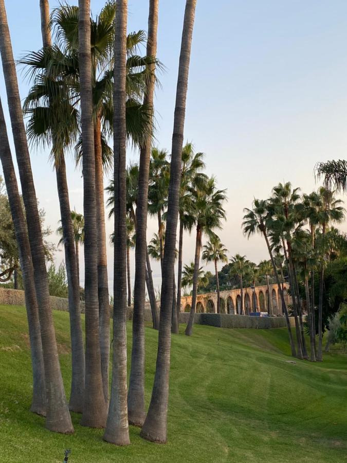 Oasis Del Nora *