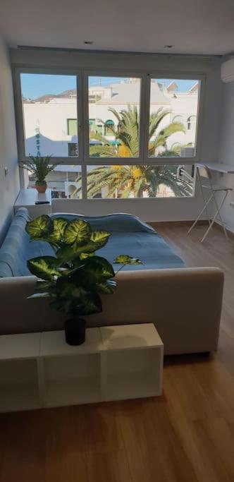 Studio Centro/playa Appartement