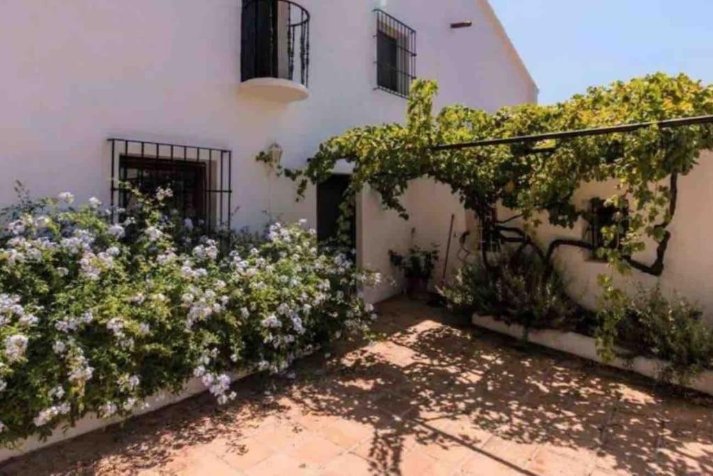Cortijo Artist Paradise Сasa de vacaciones Nerja