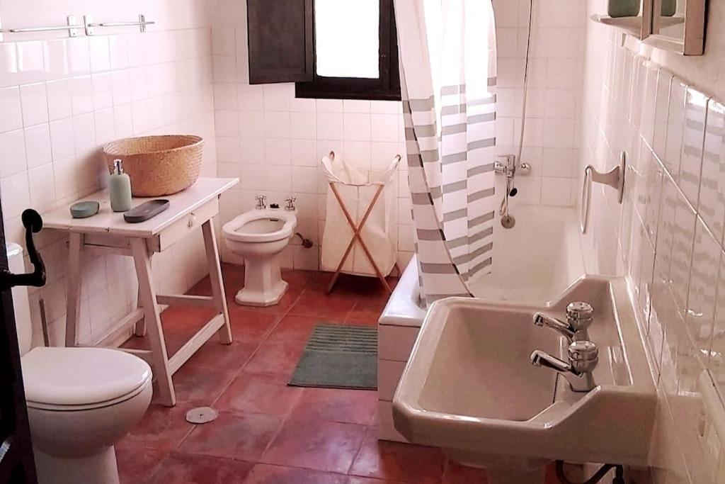 Cortijo Artist Paradise *