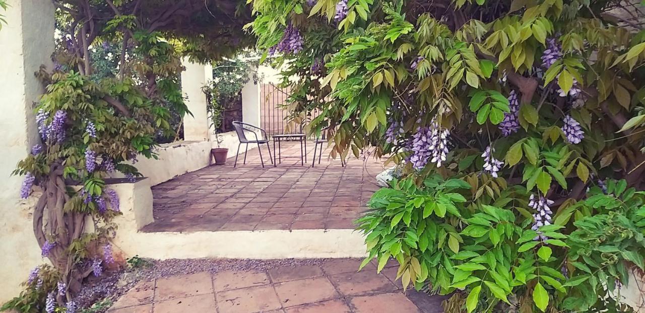 Cortijo Artist Paradise Nerja