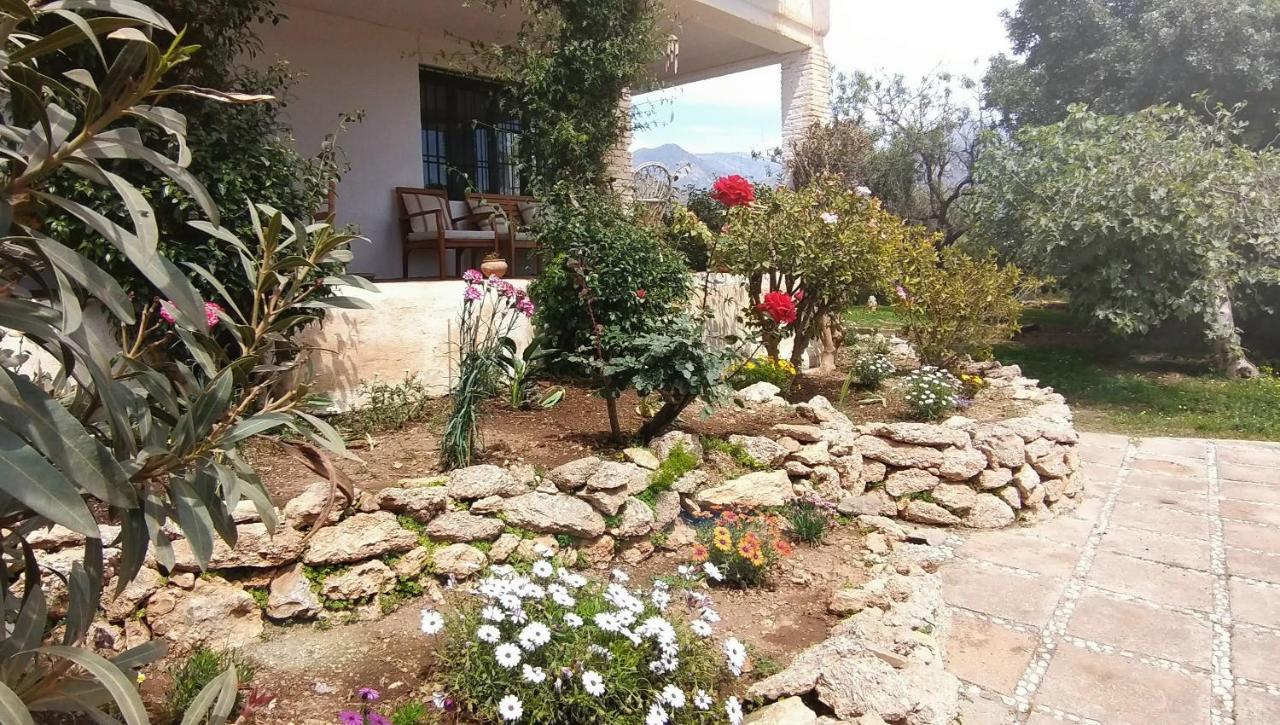 Cortijo Artist Paradise *