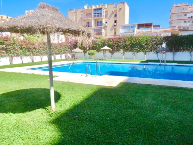 Apartment Apartamento Delfin, Torrecilla, Nsf16 *