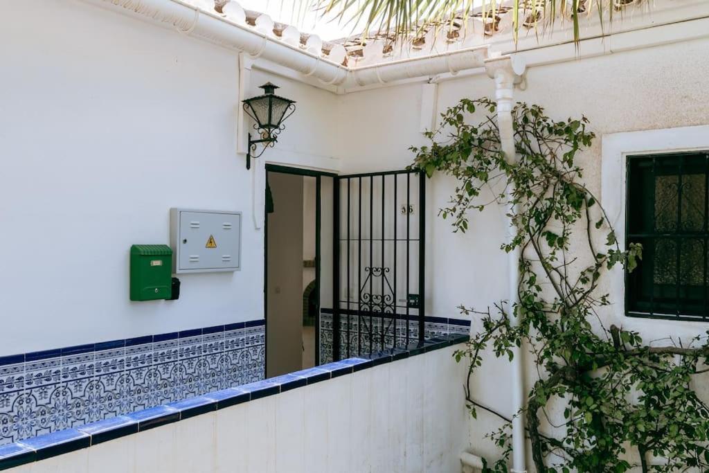 Oasis 16 Nerja