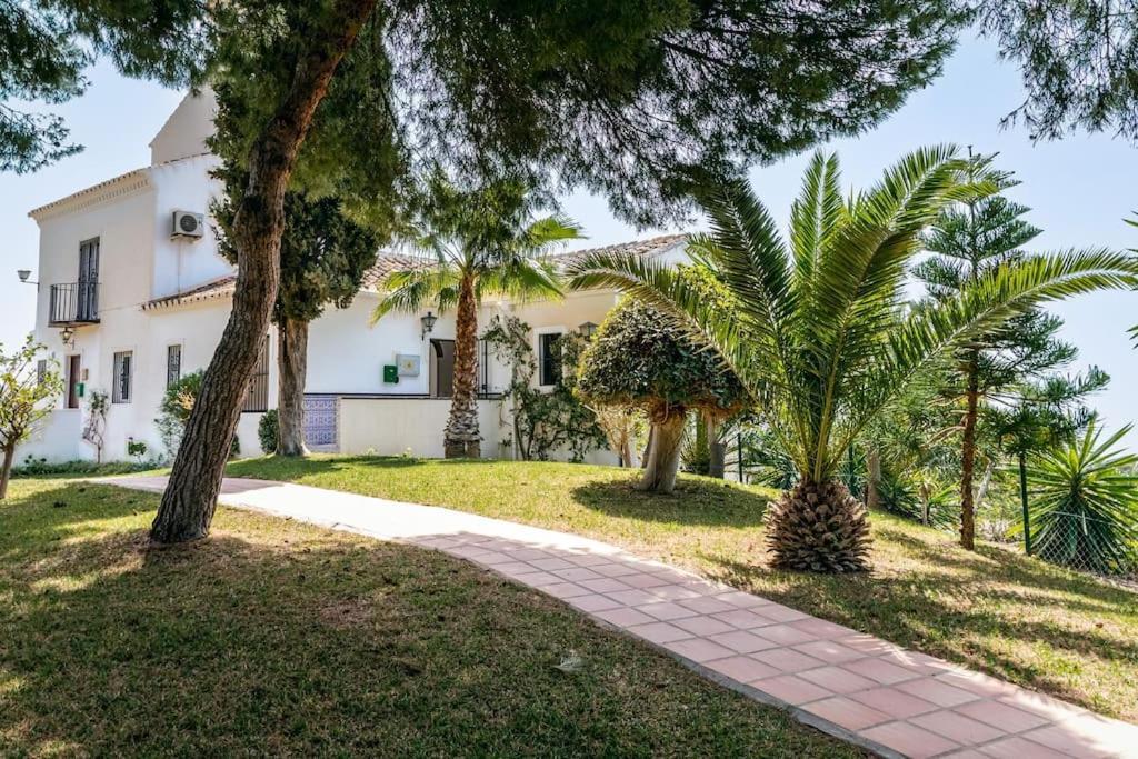 Oasis 16 Nerja