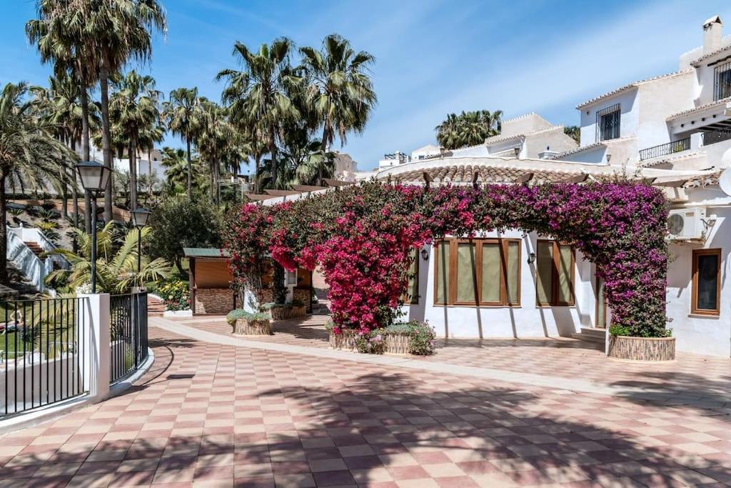 Oasis 16 *