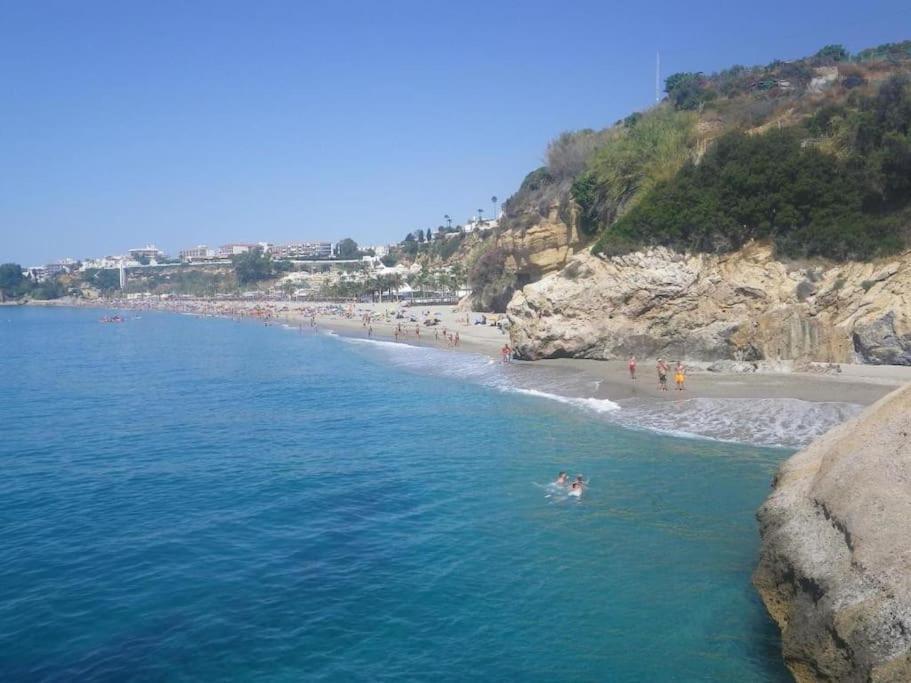Carabeo 19