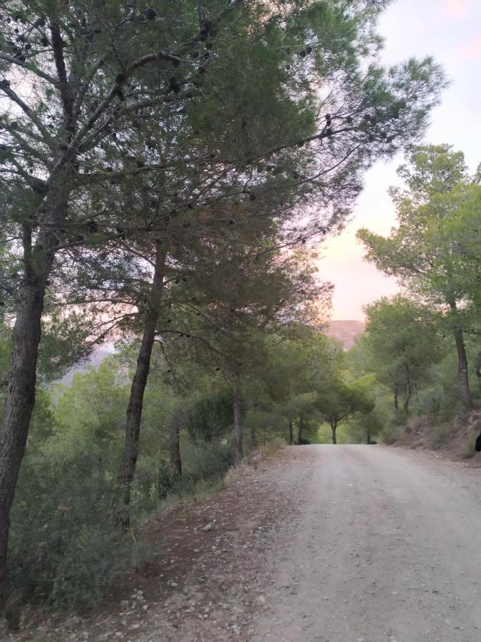 1 Pasaje Fuente De Cantarero Nerja