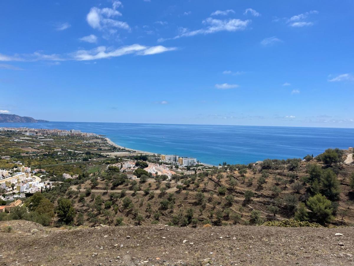 Paradise - Alminares