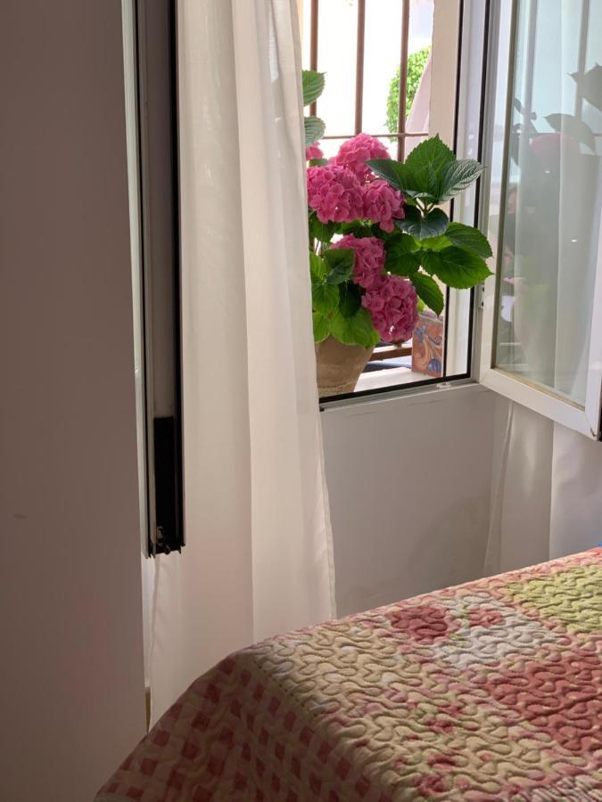 Pintada 57 * Nerja
