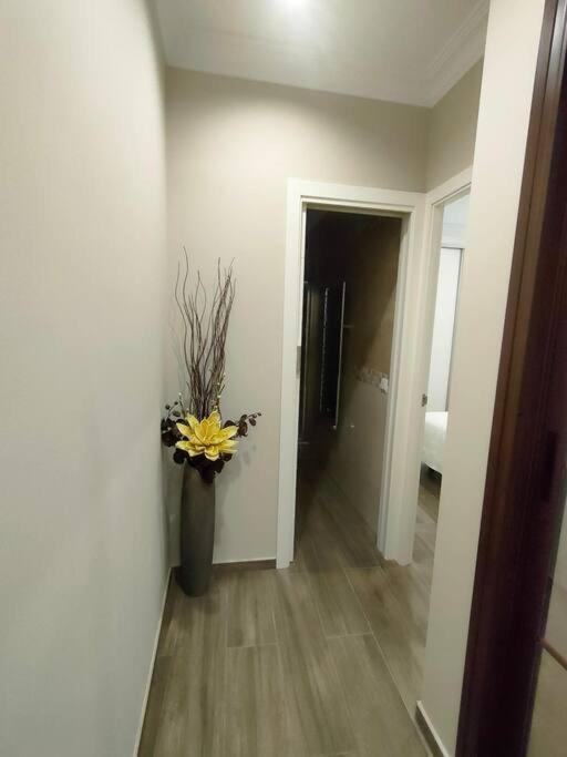 Appartement Apartamento Amalia