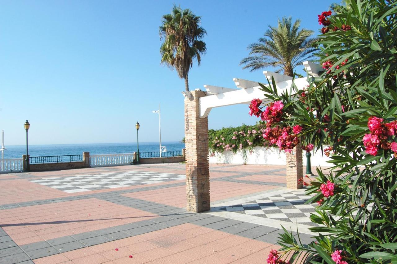 Delfin Apartment *