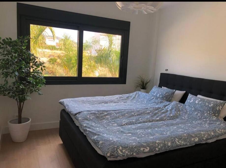 Mangos 15 Holiday home *