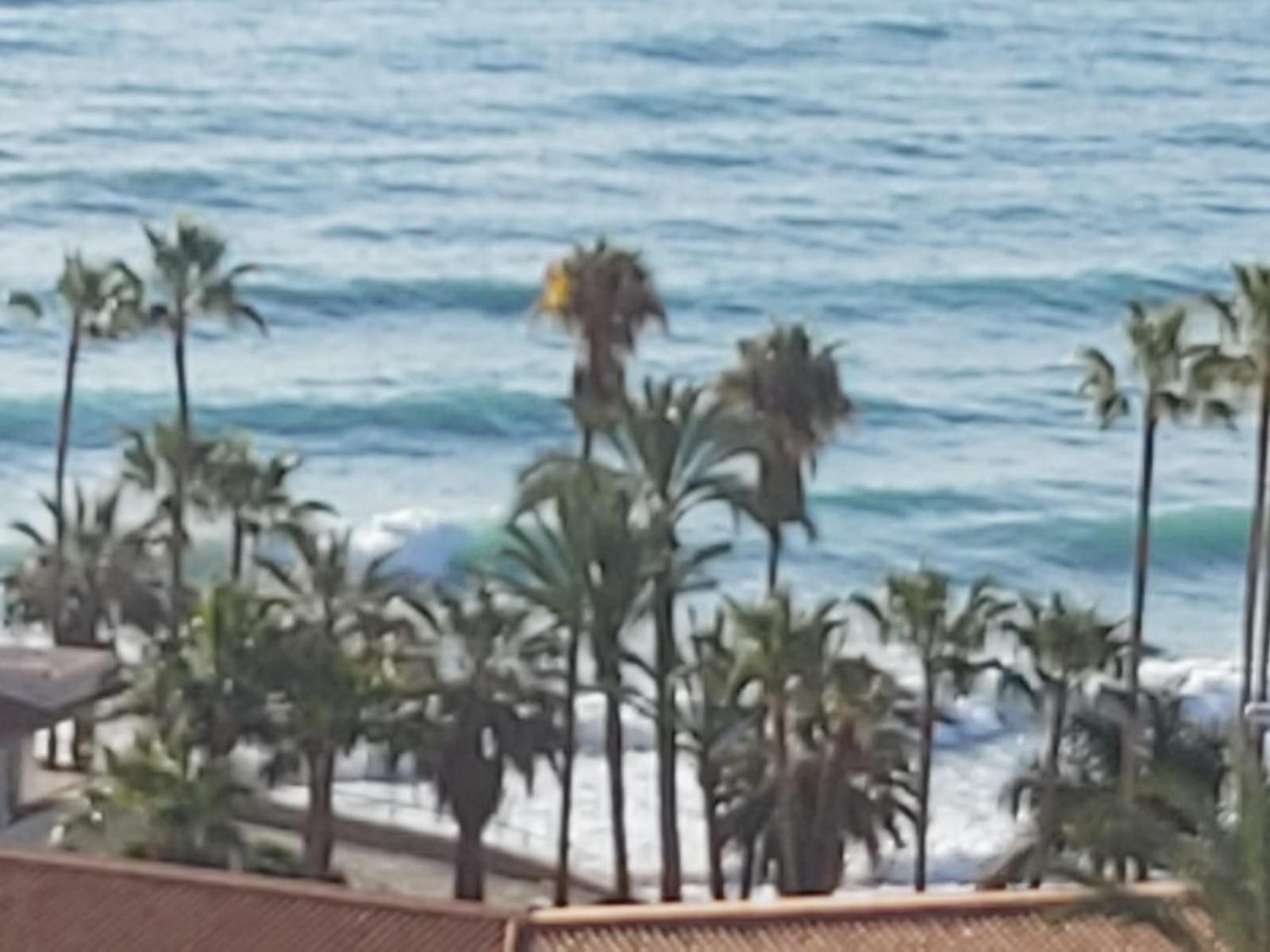 Albaida Apartment