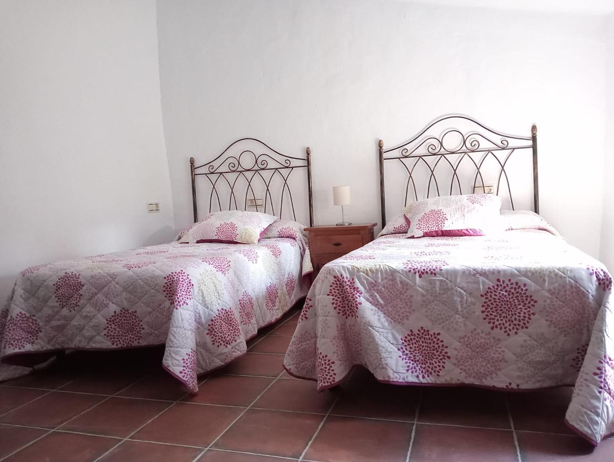 Aguacate Nerja