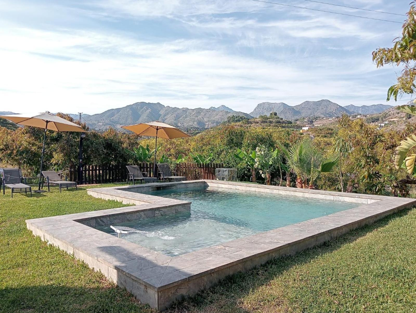 Aguacate Villa Nerja