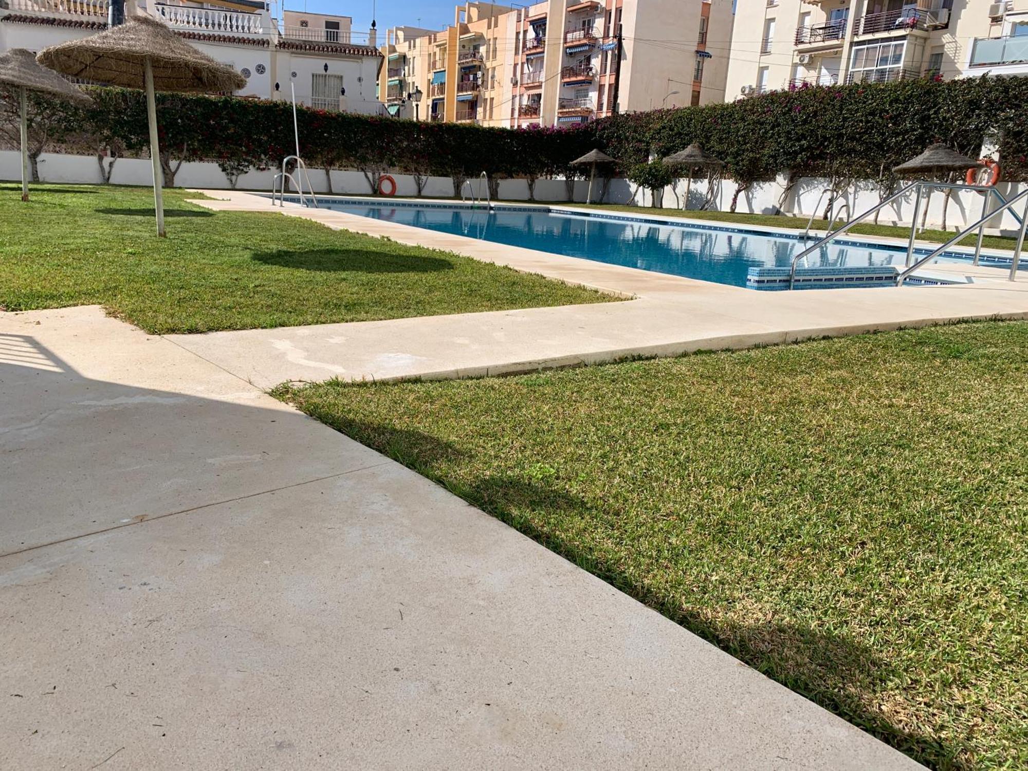 Delfin Apartment *