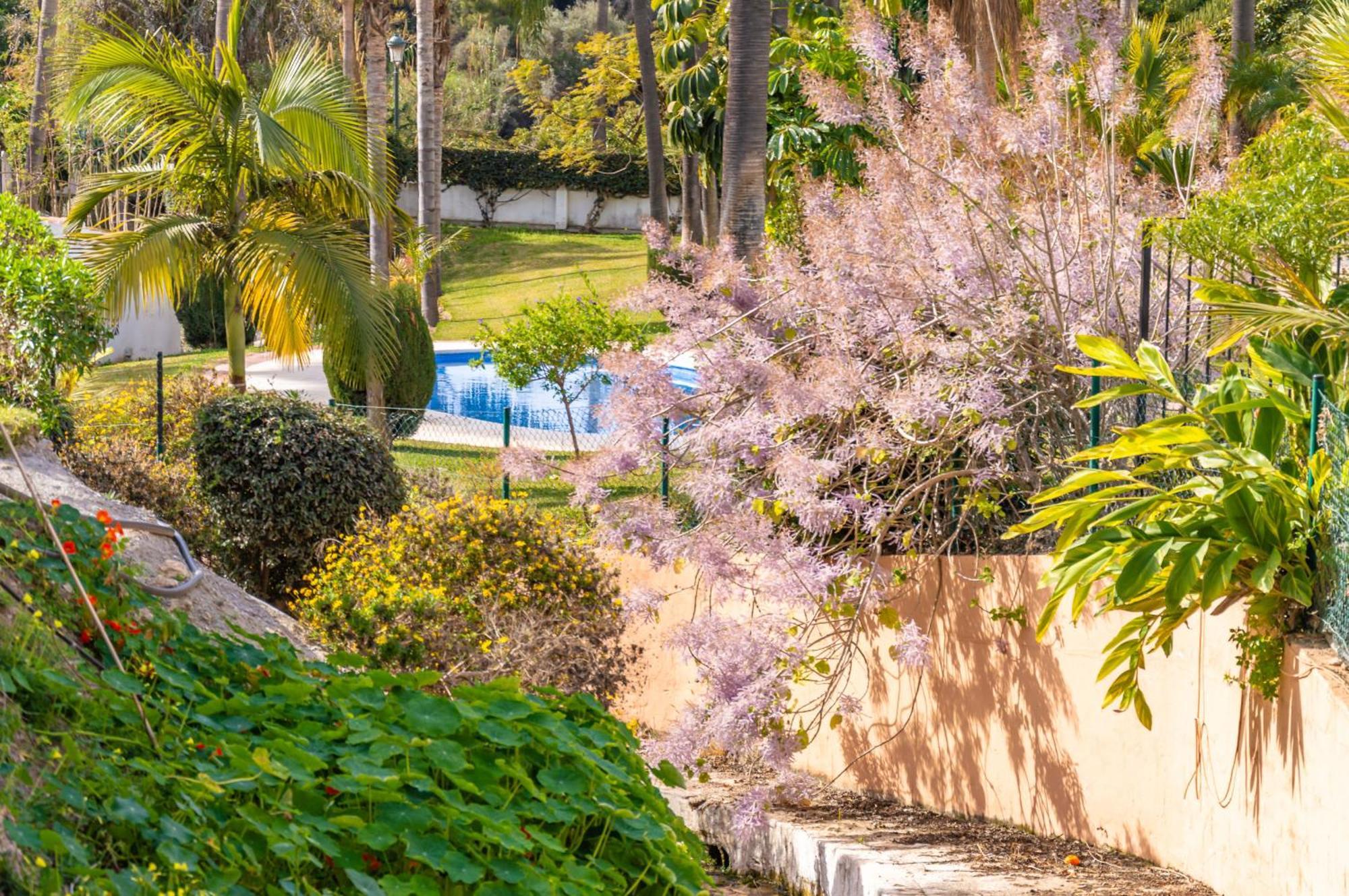 Palmas 15c Oasis Apartamento Nerja