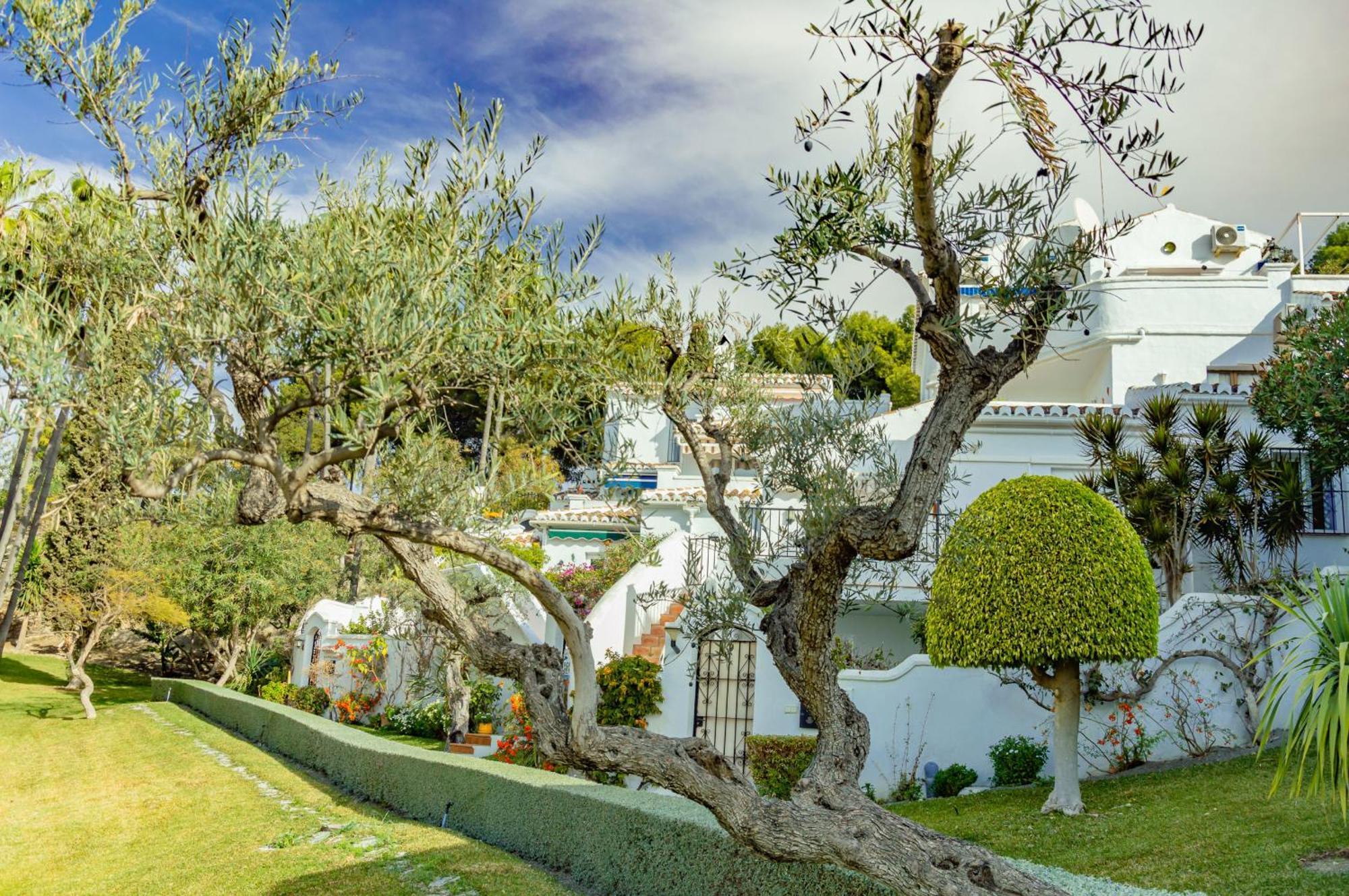 Palmas 15c Oasis Nerja