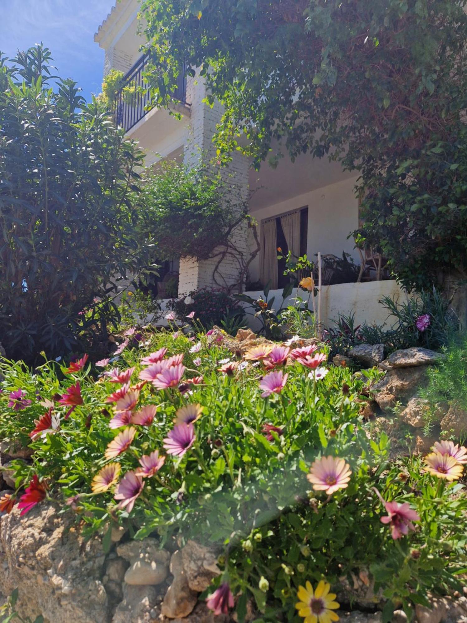 Cortijo Artist Paradise * Nerja