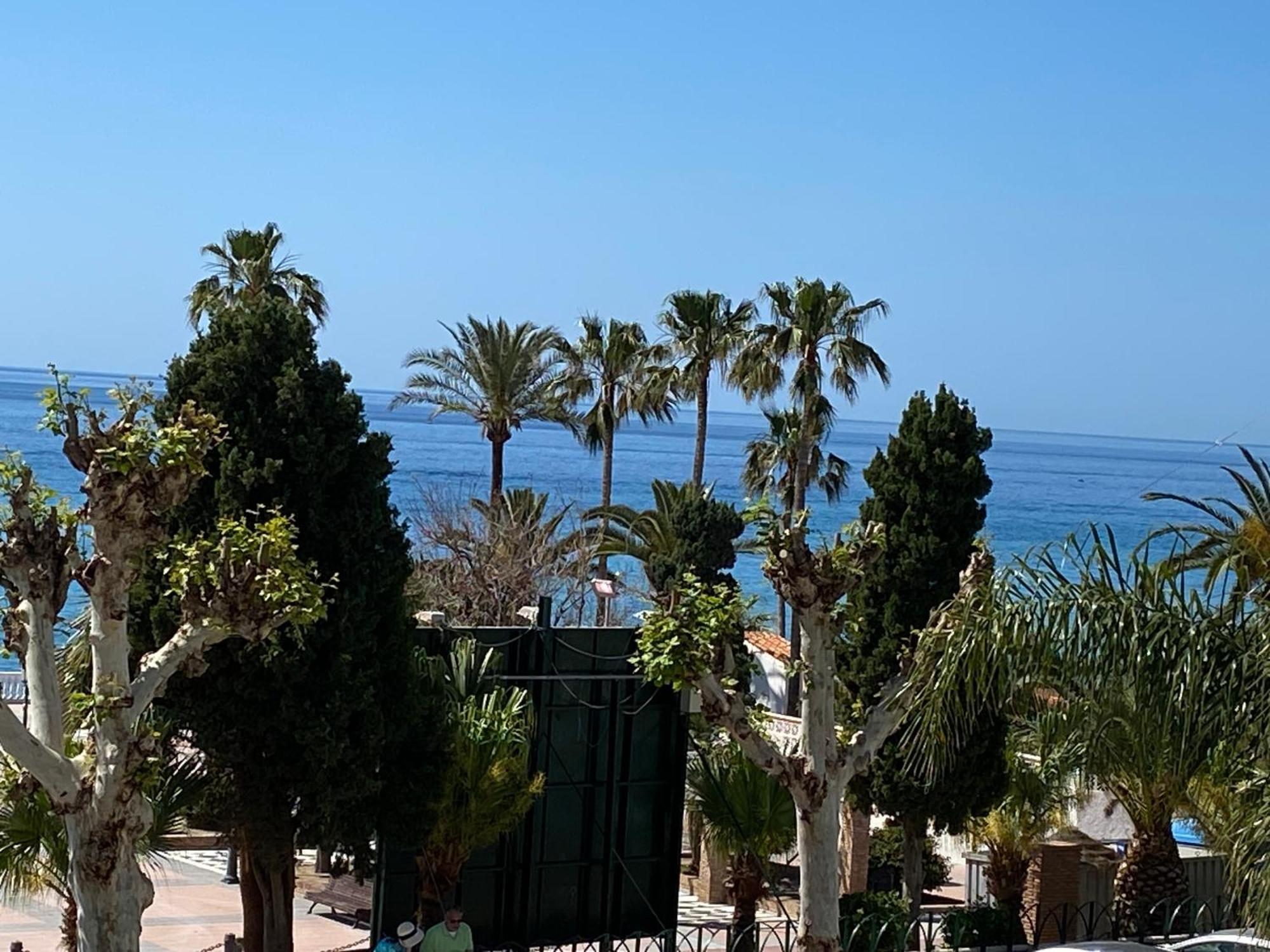 Apartment Delfin *