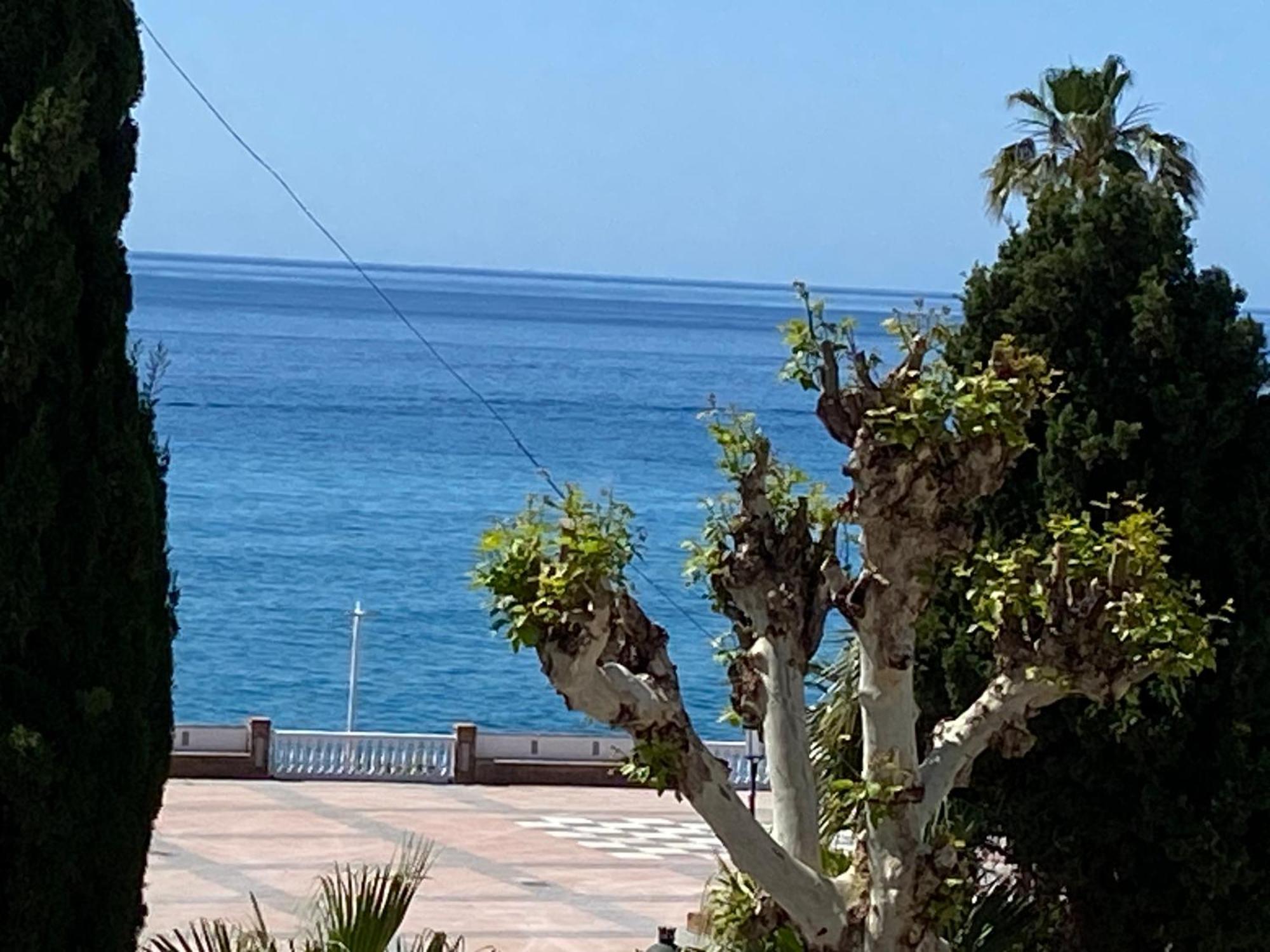 Apartment Delfin
