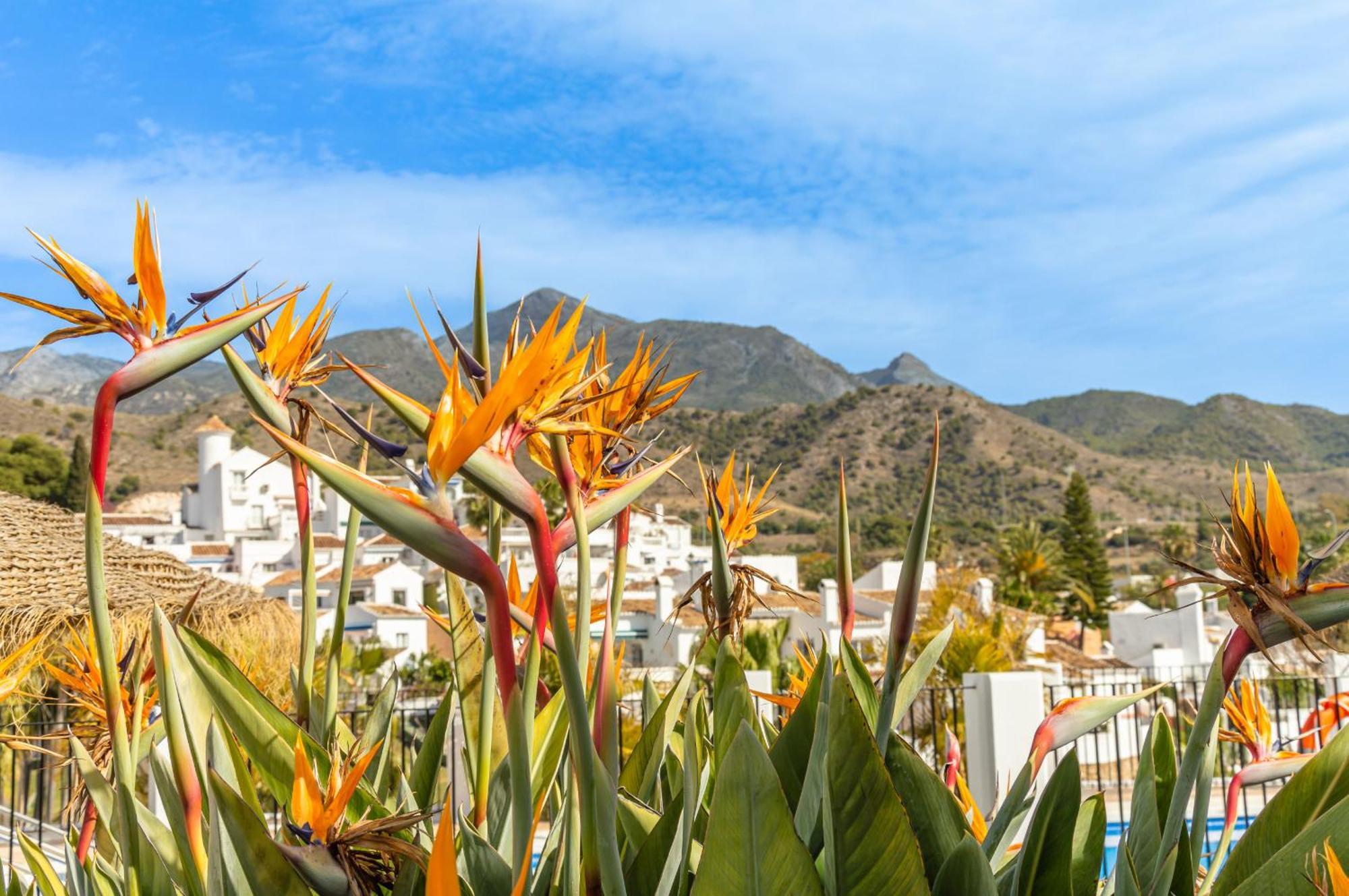 Tetuan 31 Oasis Apartamento