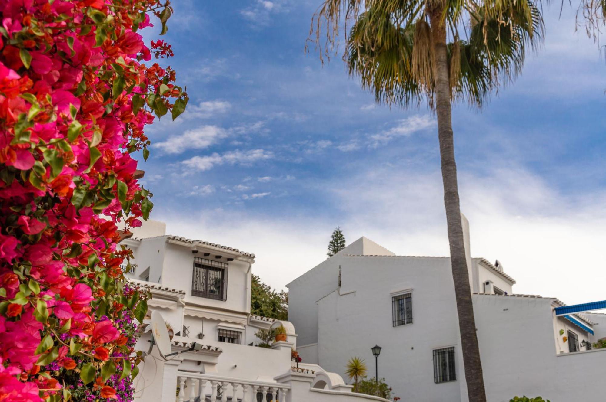 Tetuan 17 Oasis