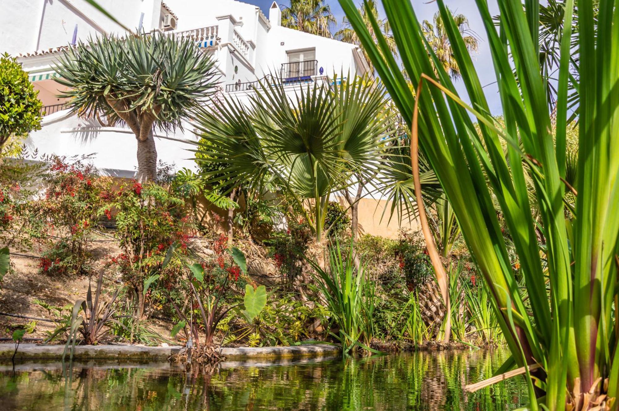 Tetuan 17 Oasis Nerja