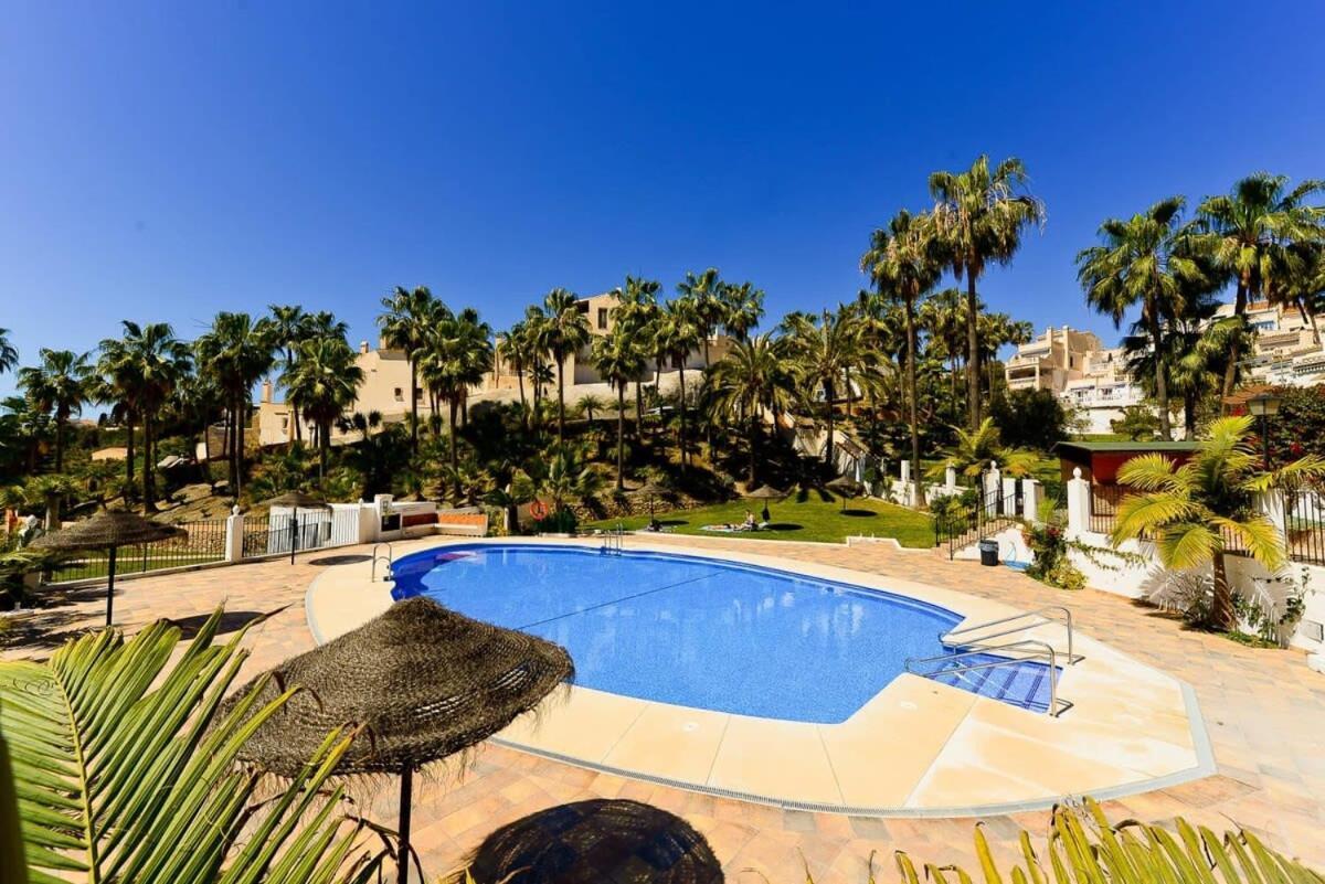 18c Palmas, Oasis