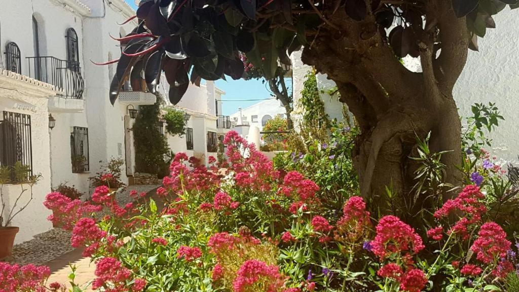 Capistrano Village