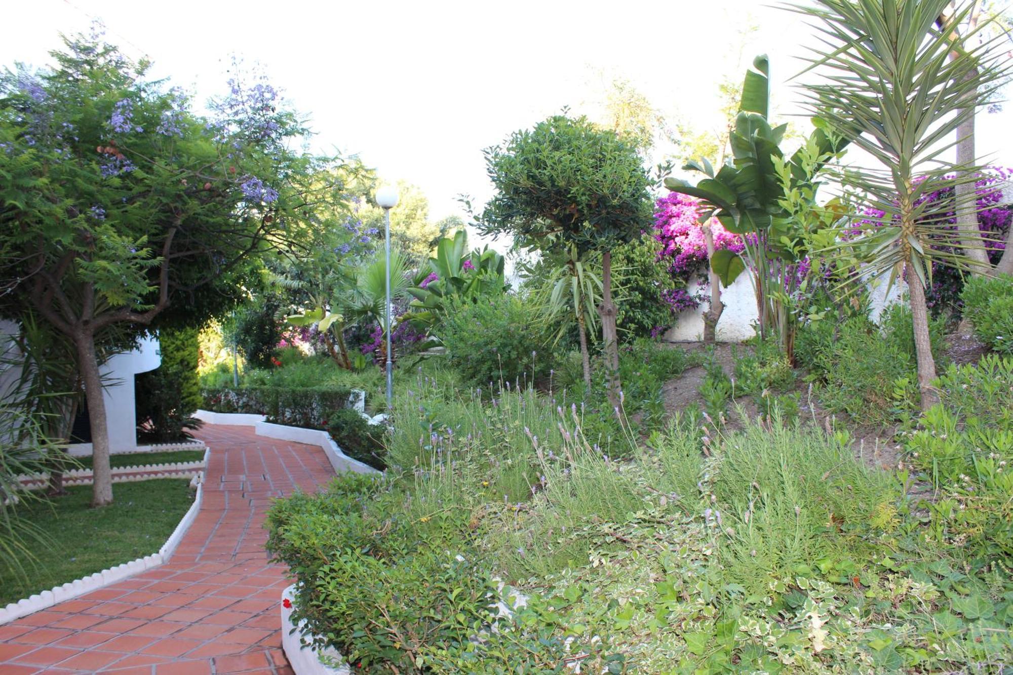 Rosas De Capistrano Apartment Nerja